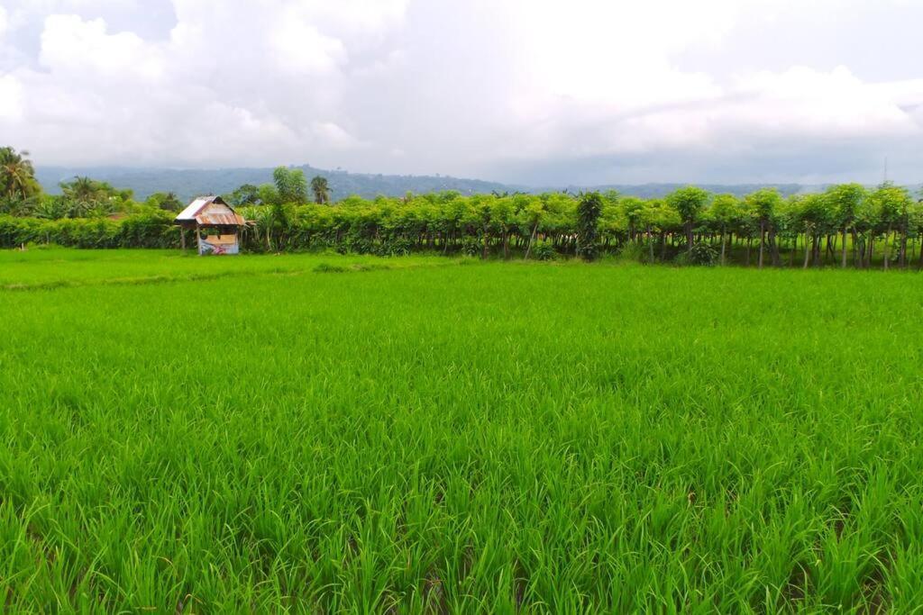 Villa Triyuna, Our Little Paradise Banjar  Exterior foto